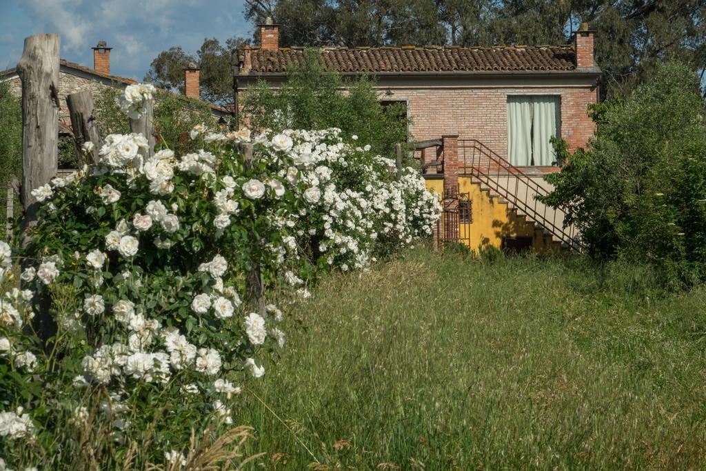 Resort La Ghiaia Sarzana Buitenkant foto