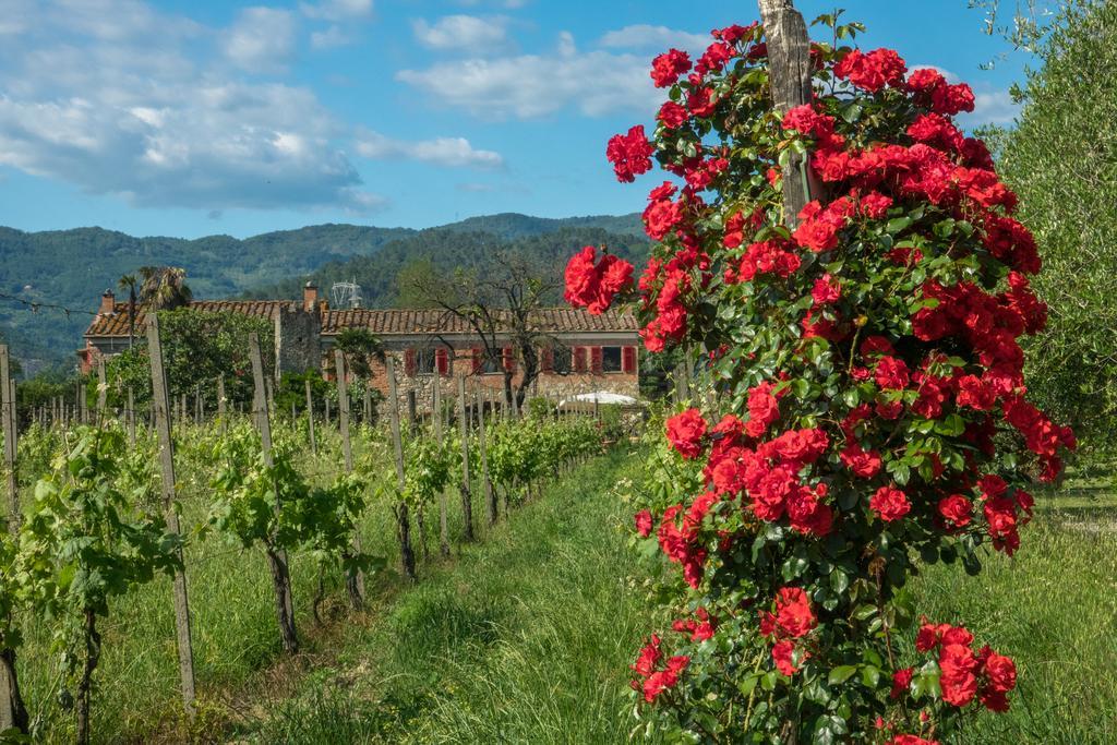 Resort La Ghiaia Sarzana Buitenkant foto